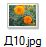 Д10.jpg