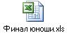 Финал юноши.xls