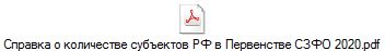         2020.pdf